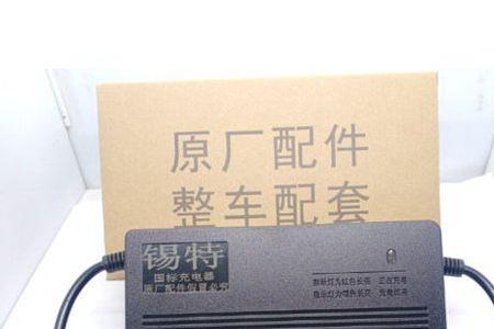 锡特电动车电瓶能取下充电吗