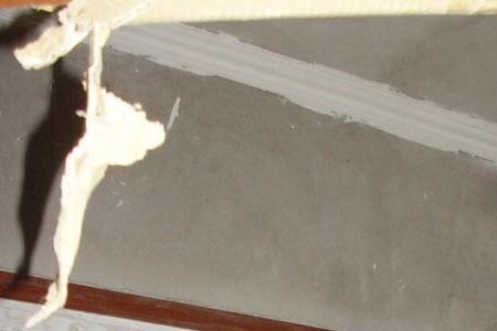 家里墙上有大白虫