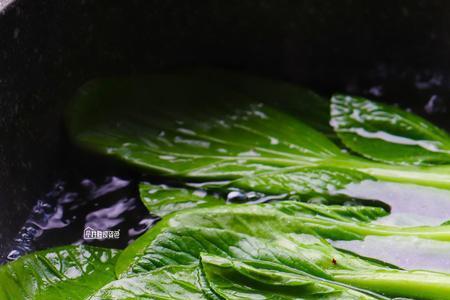 烫菜要把水烧开吗