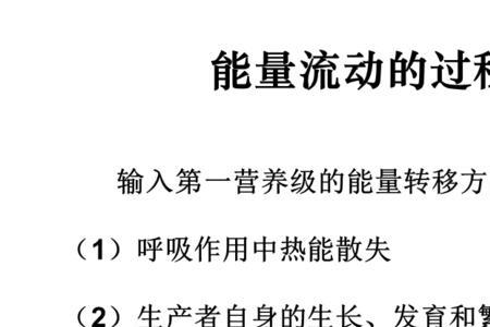 生产者的能量可以直接流向哪里
