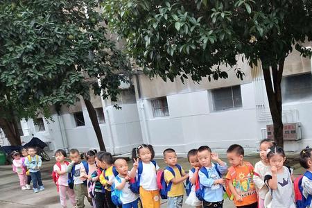 幼儿园要的东西早上拿还是放学