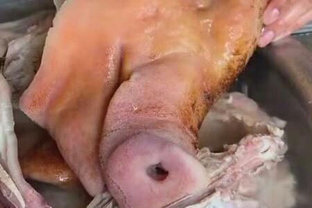 40年卤猪头秘方