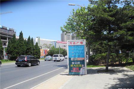 大连不老一族怎么样