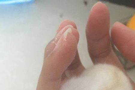 银狐仓鼠一胎能生多少个宝宝