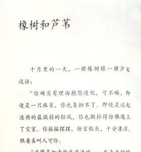 为什么大风吹倒橡树而不是芦苇