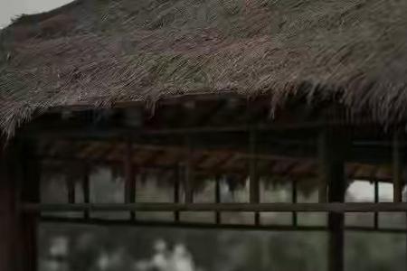 两人同去一人归啥意思