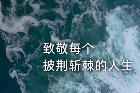 千帆过尽初心不改什么意思