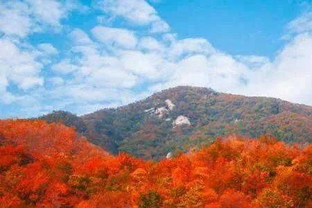 驻马店十大高山