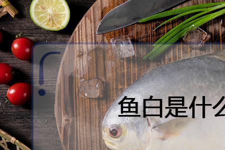 鱼字旁一个白读什么
