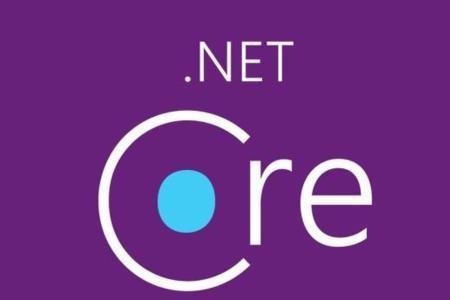 net30是什么