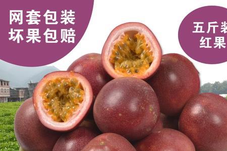 广西特产水果
