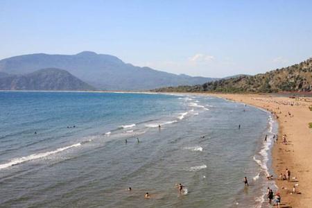 beach的知识点