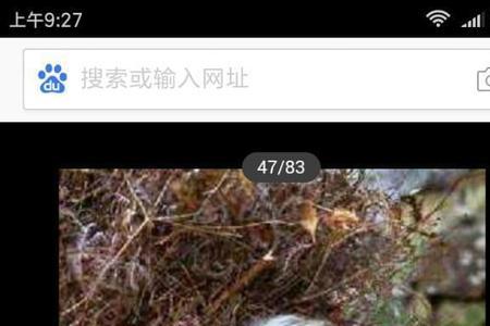 三有老人是什么