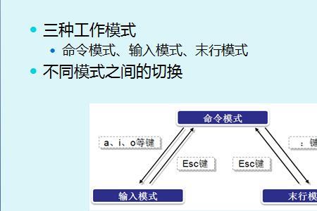 物流上的vim是什么意思