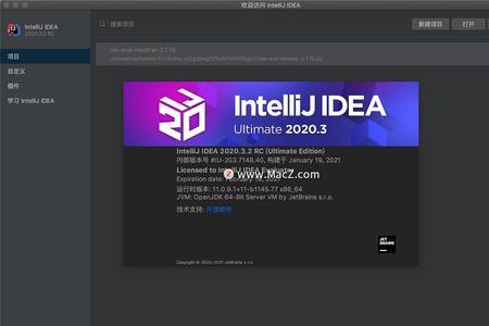 idea闪退