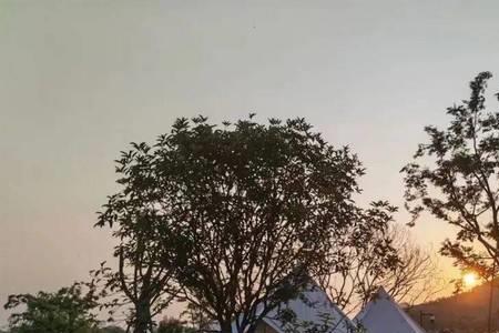 建德十里埠黄金水岸要门票吗