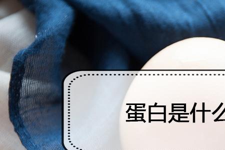 矩阵蛋白什么意思