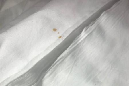 宾馆床单血渍犯绿怎么清洗掉