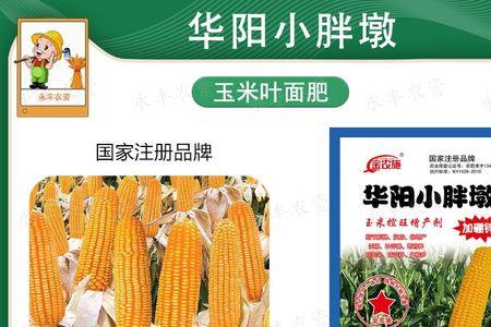 玉米调节剂什么意思