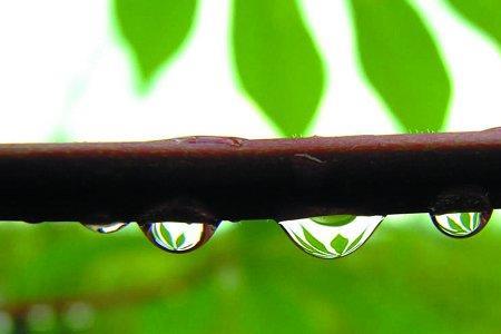 雨露滋润的成语