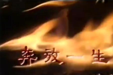 奔放的青春什么意思
