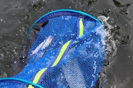 钓鱼钓到浮尸就不能再钓鱼吗