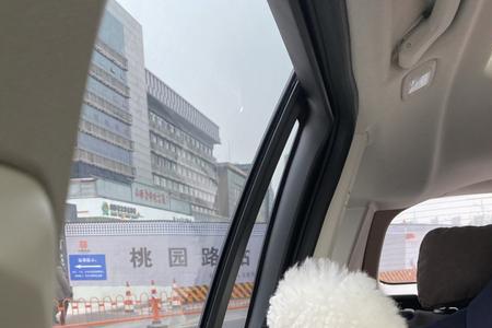小比熊怕风油精吗