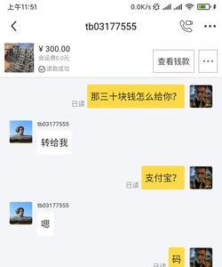 小蜜蜂2号超越版在支付宝能买吗