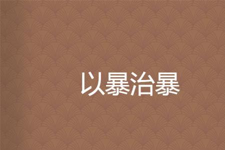 以暴制暴可取吗