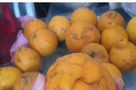 四季橘果膏怎么做