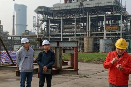 眉山金象化工是国企吗