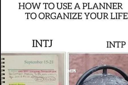 intp-t做护士会怎么样