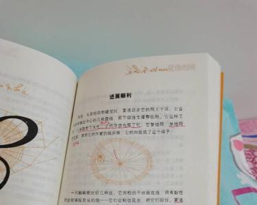 夏洛的网批注每章十处