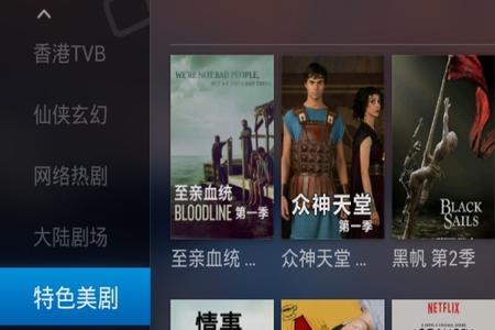 国外最大tv视频网站