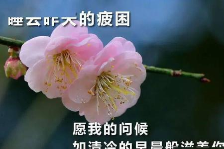 11月29日祝福语