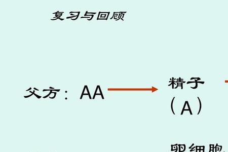 哪些基因是显性基因