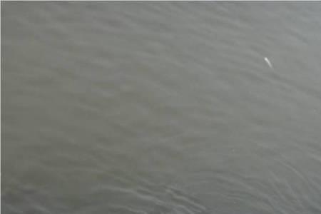 鱼塘里的水缺氧能拿去淋果树吗