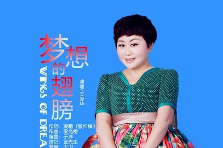 梦想是翅膀歌曲