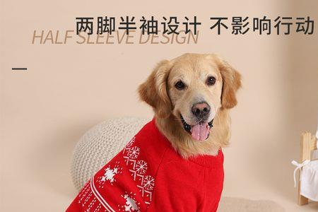哈士奇眼珠为什么会变成红色