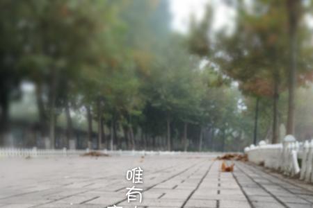 物是人非的上一句话是什么