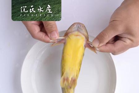 黄鸭鱼养殖条件