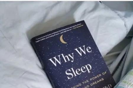 夙夜难眠什么意思