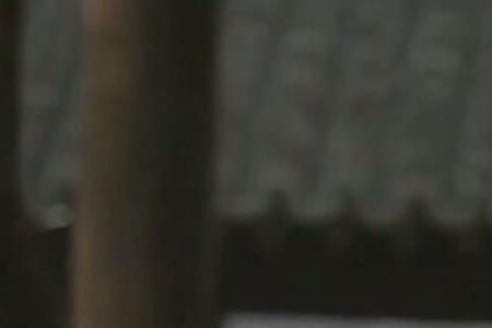 少林僧兵汪直结局