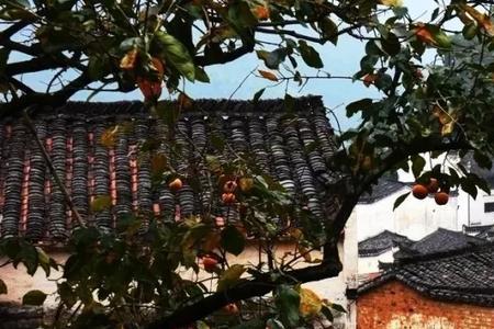 食人间烟火品百味人生什么意思