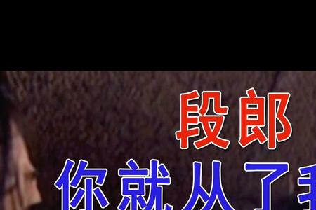 段正淳教秦红棉的是什么掌法