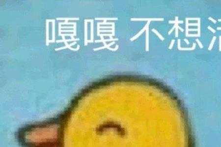 它因为欢乐而嚎叫 读音
