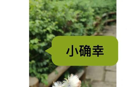 用力去感受什么意思