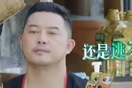 向往的生活杨迪和沙溢没见面