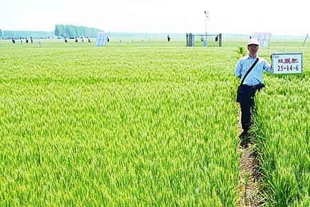 试验田和实验田区别