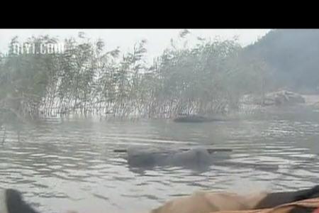 少林僧兵秀子大结局